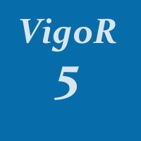 набор vigor 5