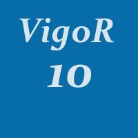 набор vigor 10
