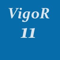 набор vigor 11