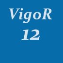 Набор Vigor 12